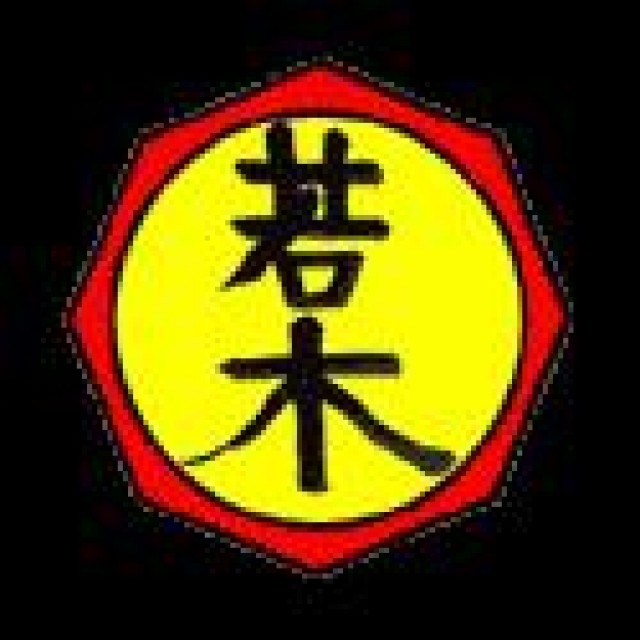 Bujinkan Dojo Wakagi-Augsburg | Ninjutsu - Kampfsport - Augsburg / Pfersee