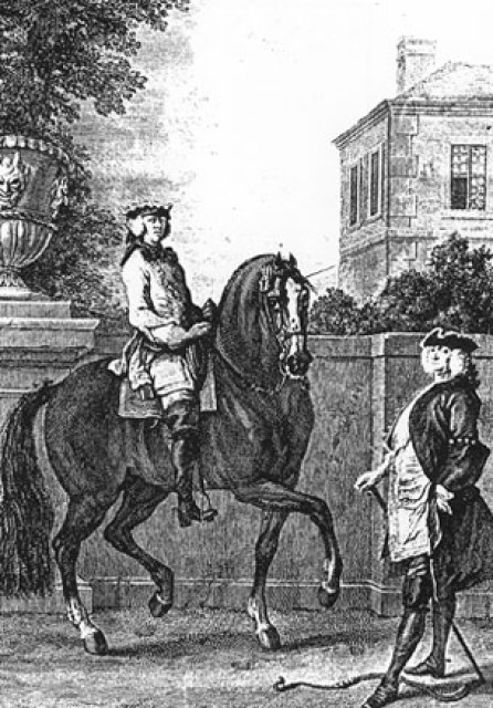 Ausbildung in der klassisch-barocken Reitkunst - Reit und Pferdesport - Bonndorf