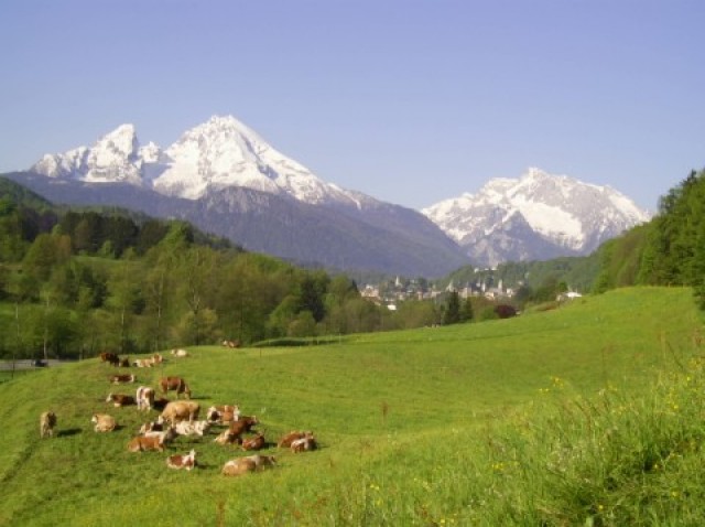 Wandern mit Hund im Berchtesgadener Land - Bergsport Trekking Wandern - Schönau am Königssee