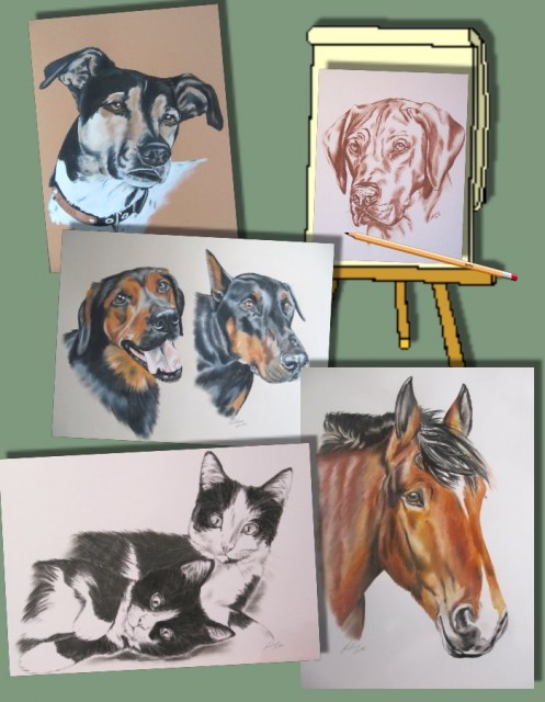 Tierportraits nach Foto - Reit und Pferdesport - Hamburg