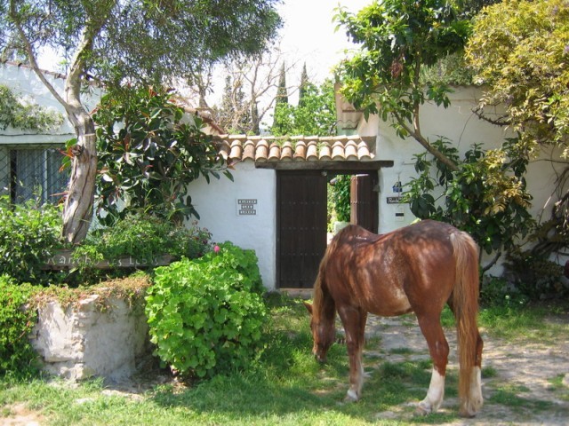 Reiten Wandern in Andalusien - Reit und Pferdesport - Jimena de la frontera