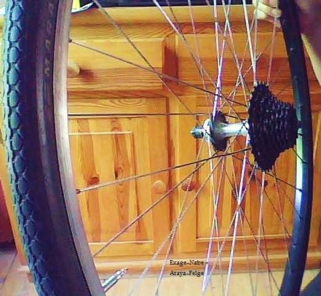 28Zoll Hinterräder für Kettenschltg. 5-8fach - Fahrradzubehoer Teile - Hamburg