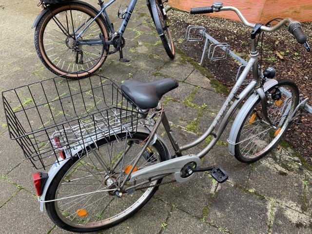 Stadtfahrrad Bavaria Line Lizzard für Damen, Nabenschaltung, Beleuchtung, Korb - Damen Fahrraeder - München