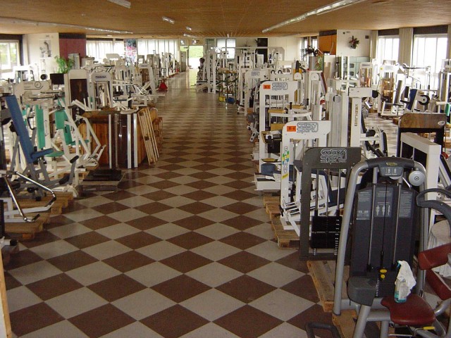 Ca. 450 Gebrauchte Fitnessgeräte nicht nur für Profieinsatz  - Fitness - Balingen 