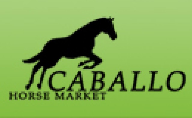 Caballo Horsemarket - Weil Wir Pferde Lieben - Reit und Pferdesport - Sonnefeld