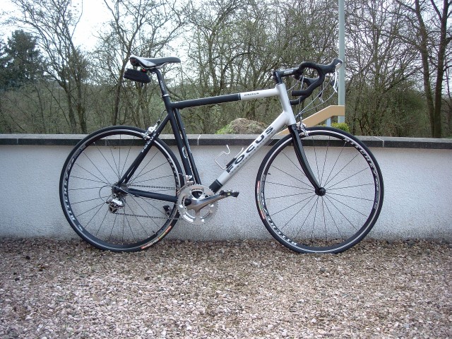 RR FOCUS 2006 - Rennraeder - Freisen