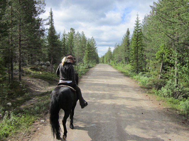 Reit-/campingurlaub in Nordschweden - Reit und Pferdesport - Slagnäs (Schweden)