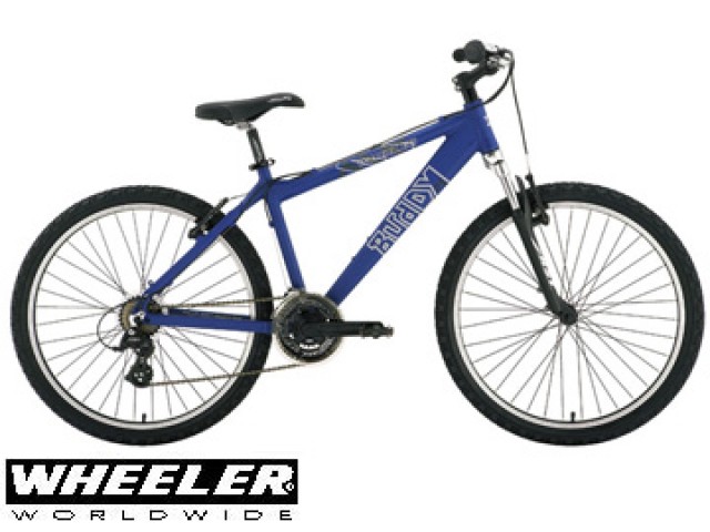 Fahrrad und Zubehör - Herren Fahrraeder - 
