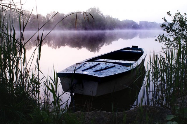 Anglerparadies in unberührter Natur - Angeln - Münster