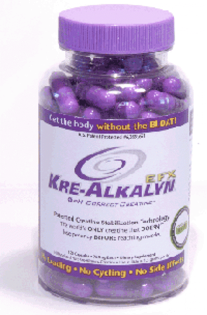 Original Kre-Alkalyn EFX - Bodybuilding - Märstetten